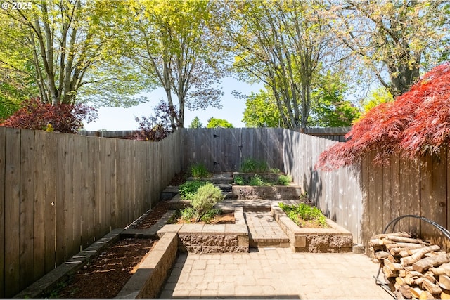 view of yard with a patio and a fenced backyard
