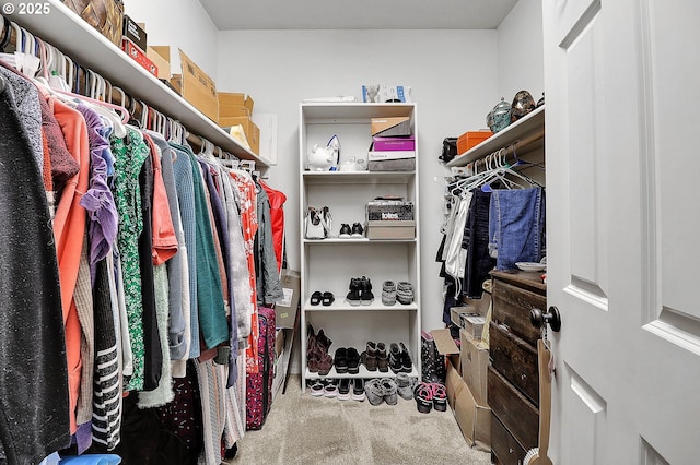 walk in closet with carpet floors