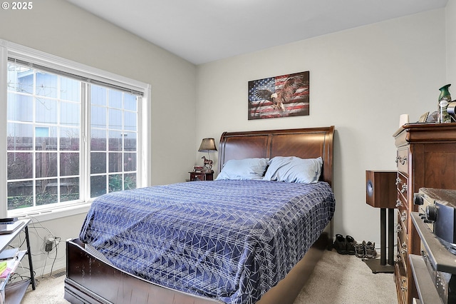 bedroom with carpet flooring