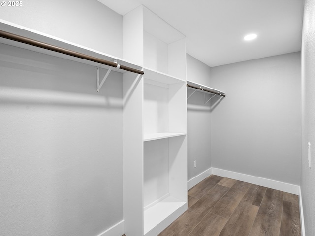 walk in closet with dark wood finished floors