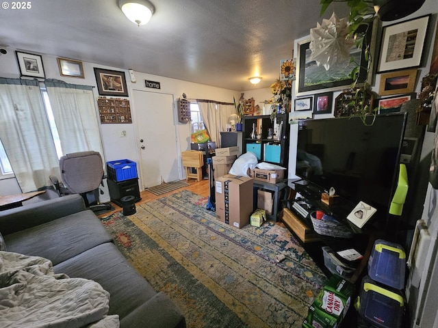 living room featuring a textured ceiling