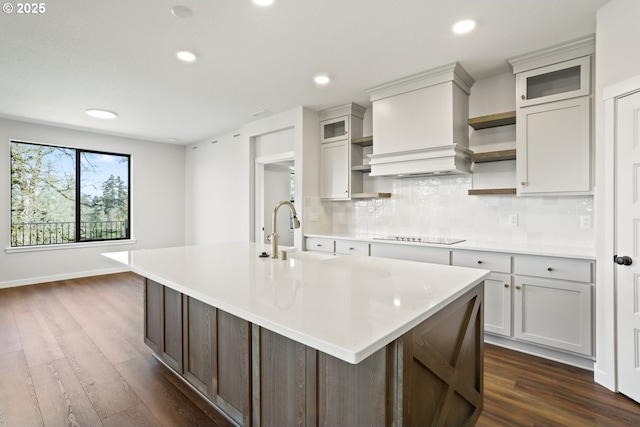 kitchen with tasteful backsplash, open shelves, a sink, and dark wood-type flooring