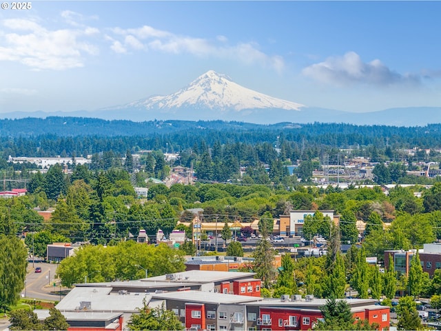 17476 SW Edy Rd, Sherwood, OR 97140 - bird's eye view of a mountain backdrop and a heavily wooded area