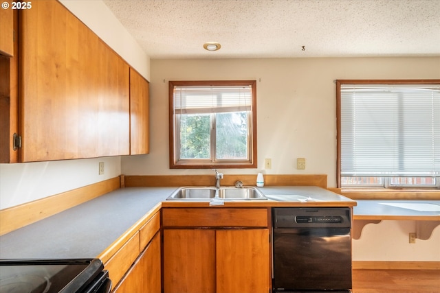 kitchen with a sink, light countertops, black dishwasher, a textured ceiling, and brown cabinets