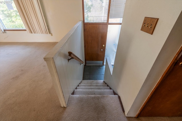 staircase with carpet floors