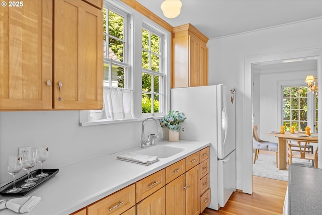 7311 SE 31st Ave, Portland, OR 97202 - kitchen featuring light wood finished floors, light countertops, and freestanding refrigerator