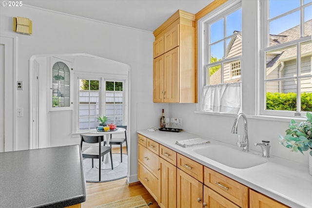 7311 SE 31st Ave, Portland, OR 97202 - kitchen featuring light brown cabinetry, light wood-style floors, and light countertops