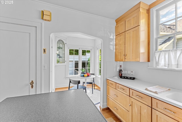 7311 SE 31st Ave, Portland, OR 97202 - kitchen featuring light brown cabinetry, light countertops, and arched walkways