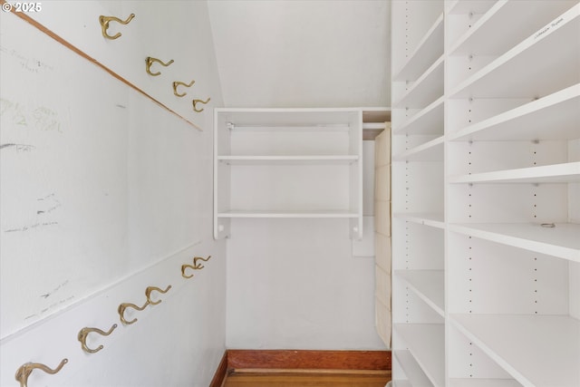 7311 SE 31st Ave, Portland, OR 97202 - view of spacious closet