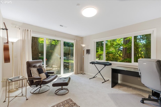 2308 Summit Dr, Lake Oswego, OR 97034 - carpeted office with healthy amount of natural light