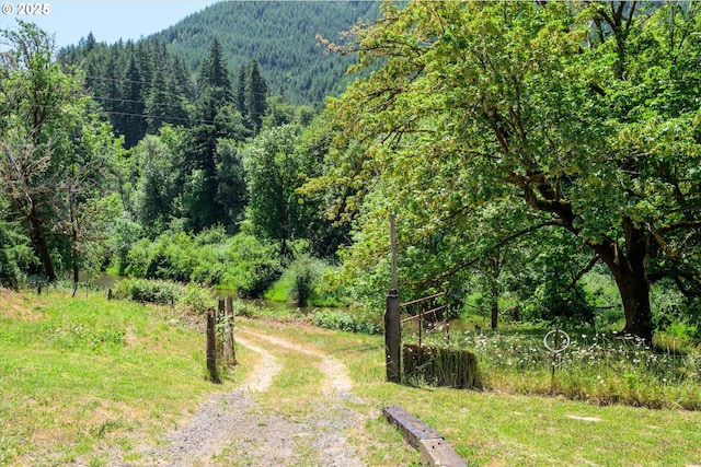 7896 State Highway 38, Drain, OR 97435 - view of street featuring a forest view