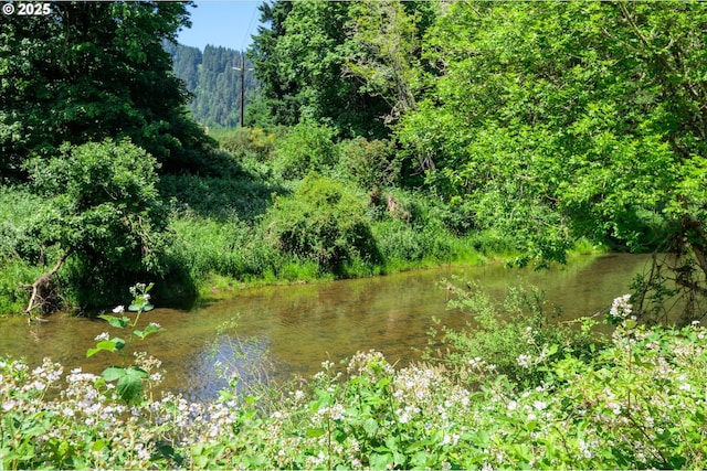 7896 State Highway 38, Drain, OR 97435 - water view featuring a heavily wooded area