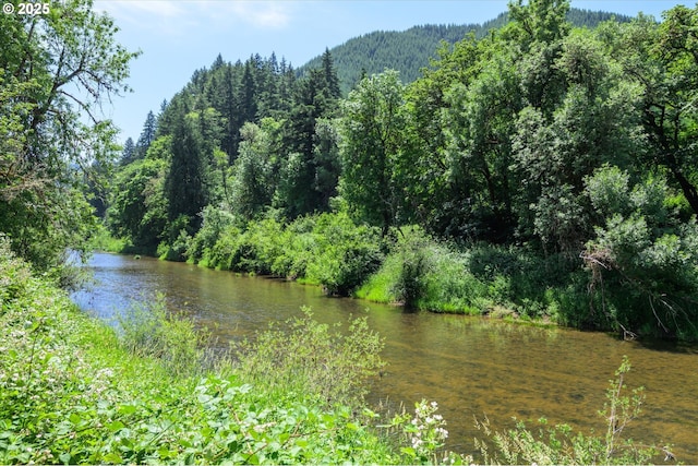 7896 State Highway 38, Drain, OR 97435 - water view featuring a heavily wooded area