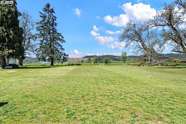 81052 Davisson Rd, Creswell, OR 97426 - view of yard with a rural view