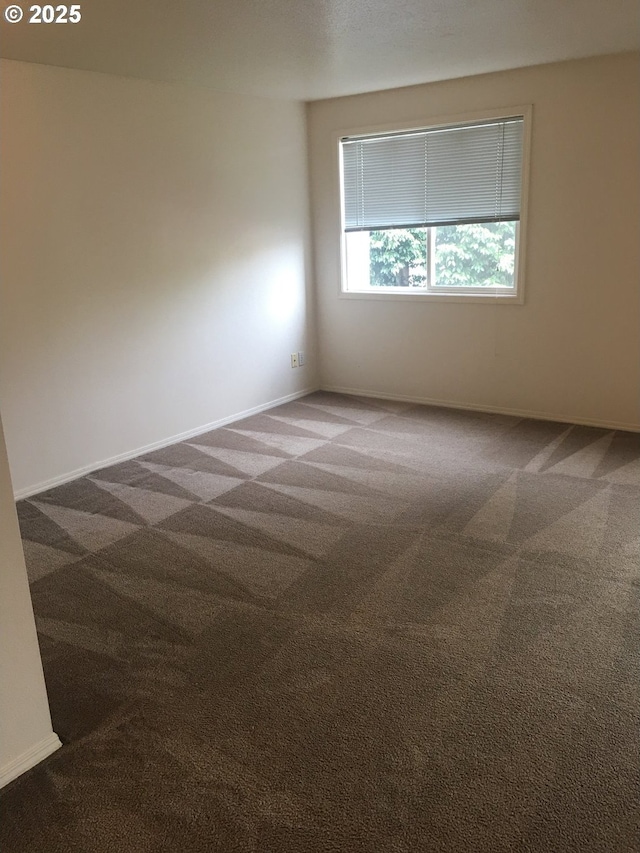 unfurnished room featuring carpet floors