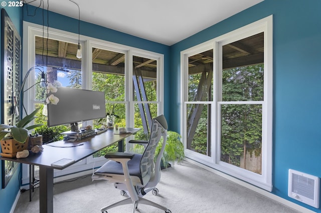 carpeted home office with plenty of natural light