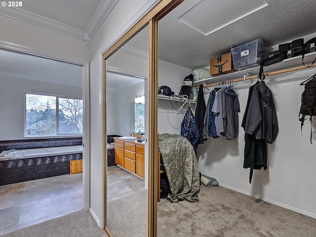 walk in closet featuring carpet flooring