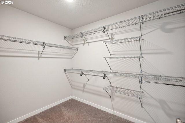 spacious closet featuring dark colored carpet