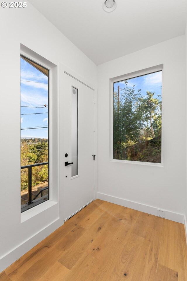 entryway with baseboards, a wealth of natural light, and light wood finished floors