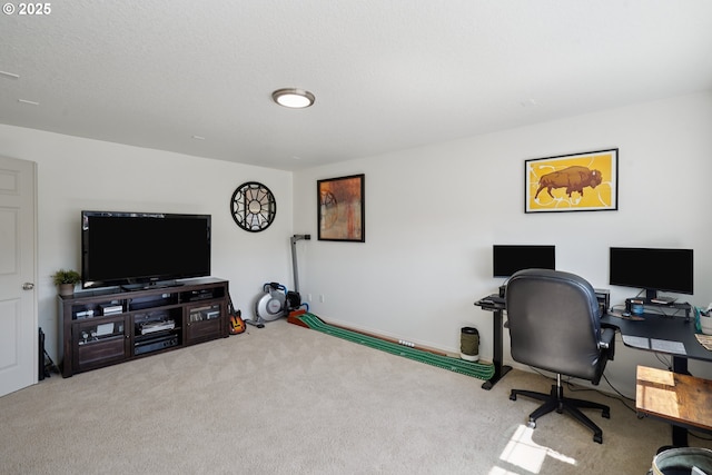 3753 NW Talamore Ter, Portland, OR 97229 - office area with carpet floors