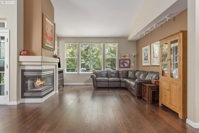 living area with a fireplace, baseboards, and dark wood-type flooring