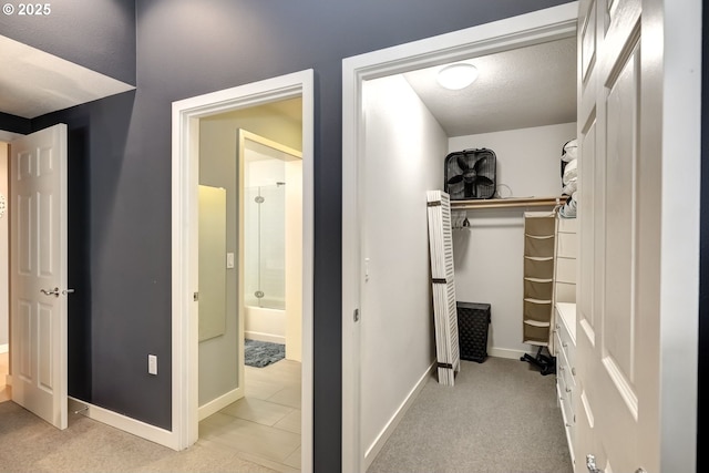 spacious closet featuring carpet flooring