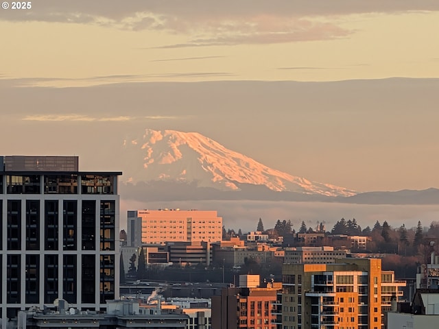 property's view of city