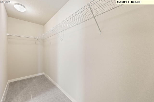 walk in closet featuring carpet flooring