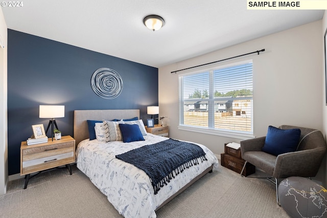 bedroom with carpet flooring