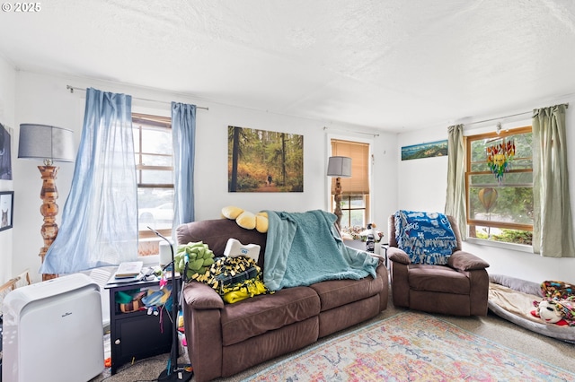 2795 Potter St, Eugene, OR 97405 - living room with a textured ceiling