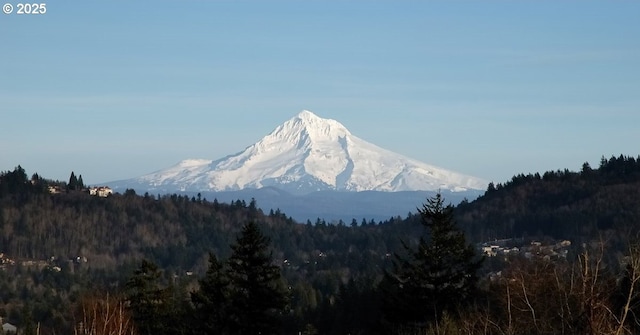 mountain view with a view of trees
