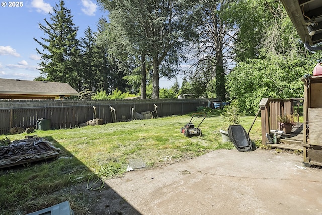 view of yard featuring a patio