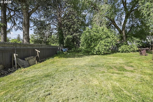 view of green lawn