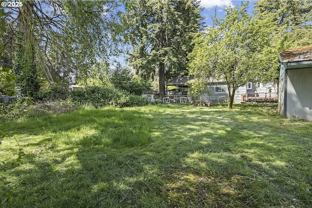 view of green lawn