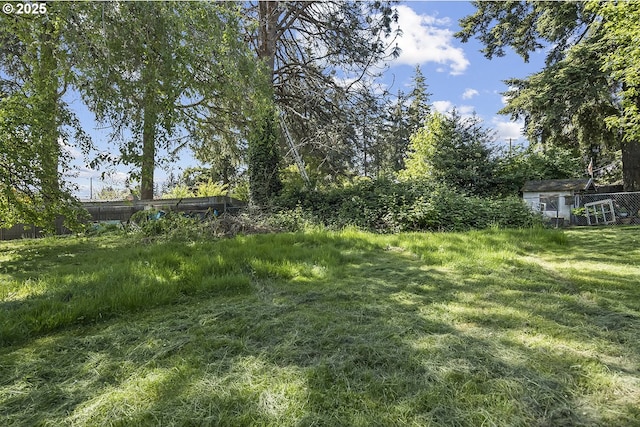 view of green lawn