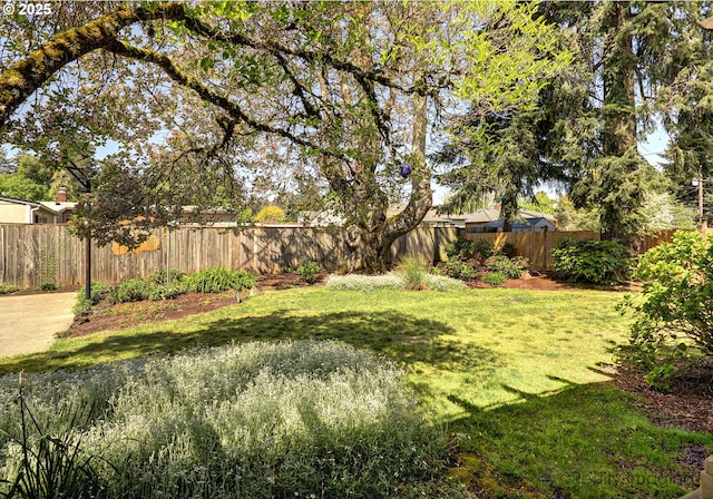 view of yard featuring a fenced backyard