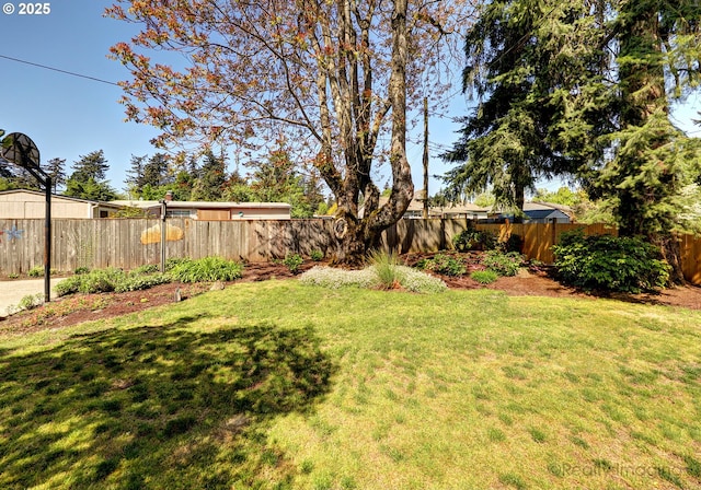 view of yard featuring a fenced backyard