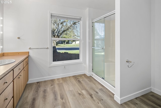 bathroom with vanity, hardwood / wood-style floors, and an enclosed shower