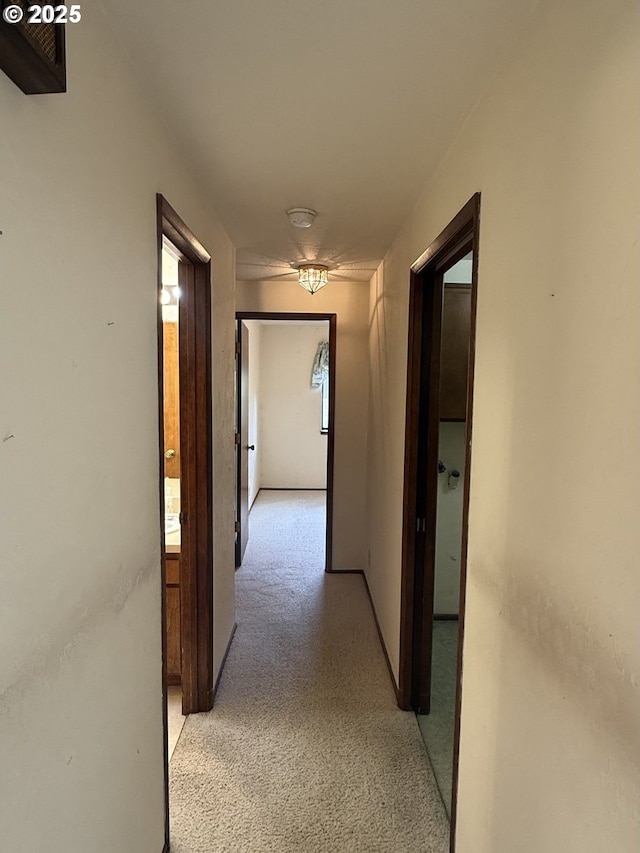 2040 40th St, Florence, OR 97439 - hallway with light colored carpet
