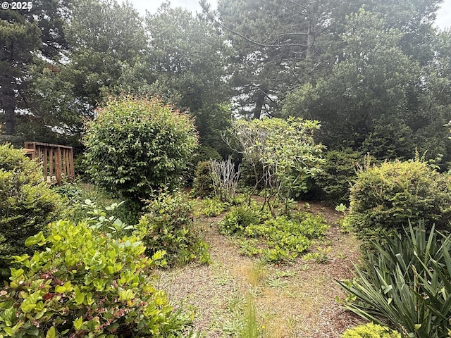 2040 40th St, Florence, OR 97439 - view of nature