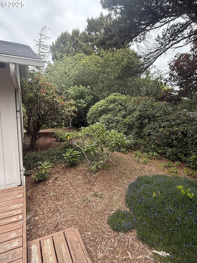 2040 40th St, Florence, OR 97439 - view of yard