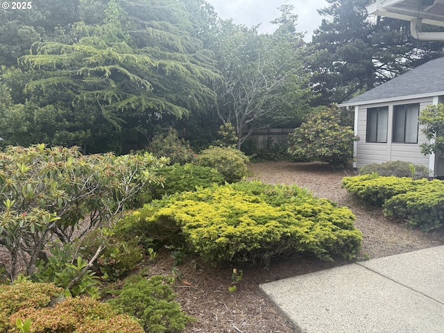 2040 40th St, Florence, OR 97439 - view of yard