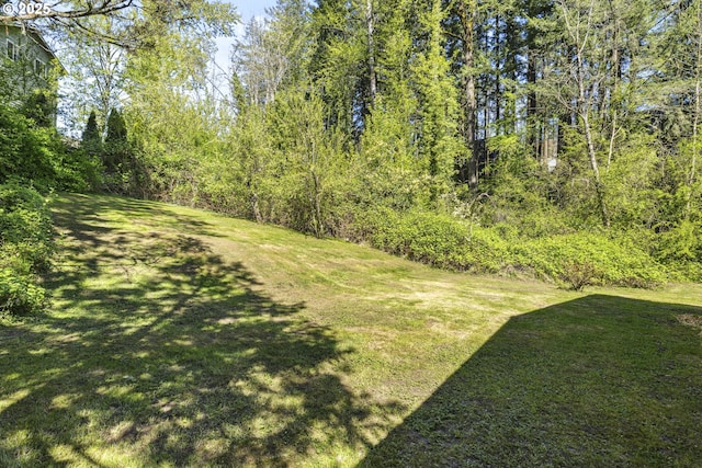 view of grassy yard