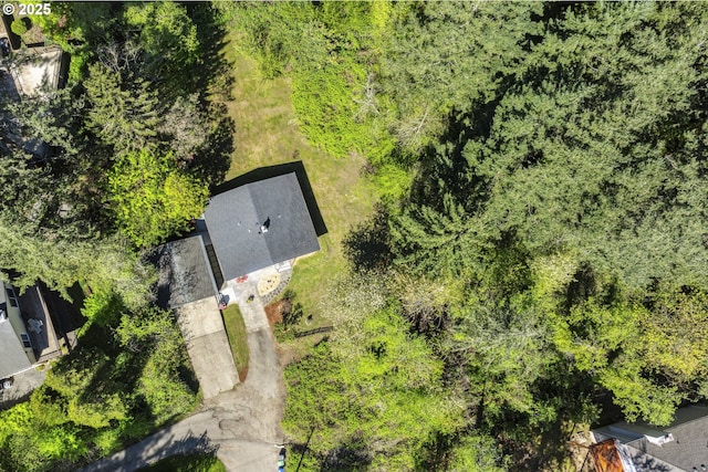 drone / aerial view