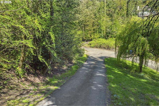 view of road with a view of trees