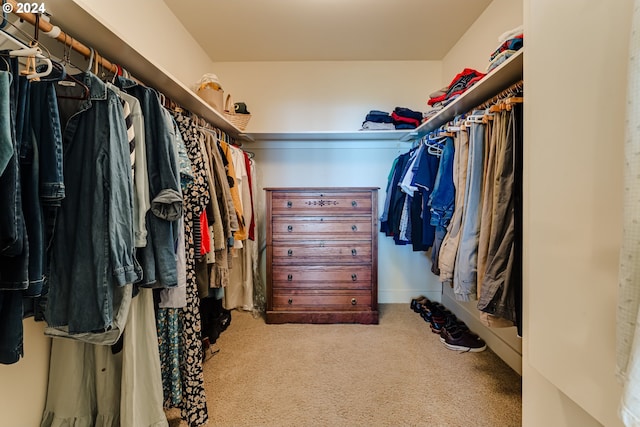 spacious closet featuring carpet floors