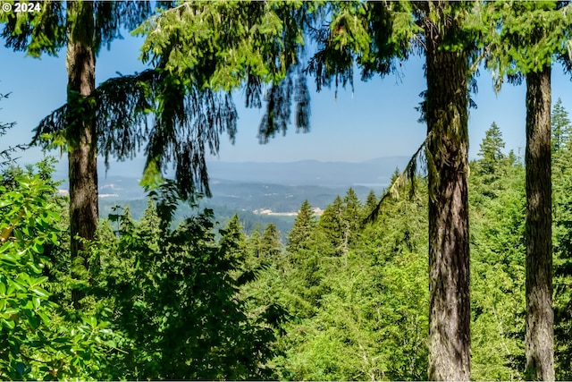 mountain view with a wooded view
