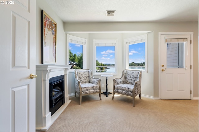 sitting room with light carpet, a fireplace, baseboards, and a water view