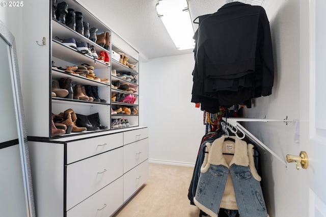 walk in closet with light carpet