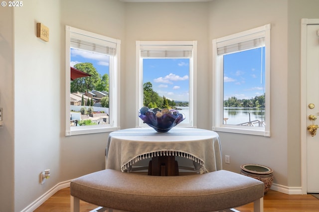 detailed view of wood finished floors, baseboards, and a water view